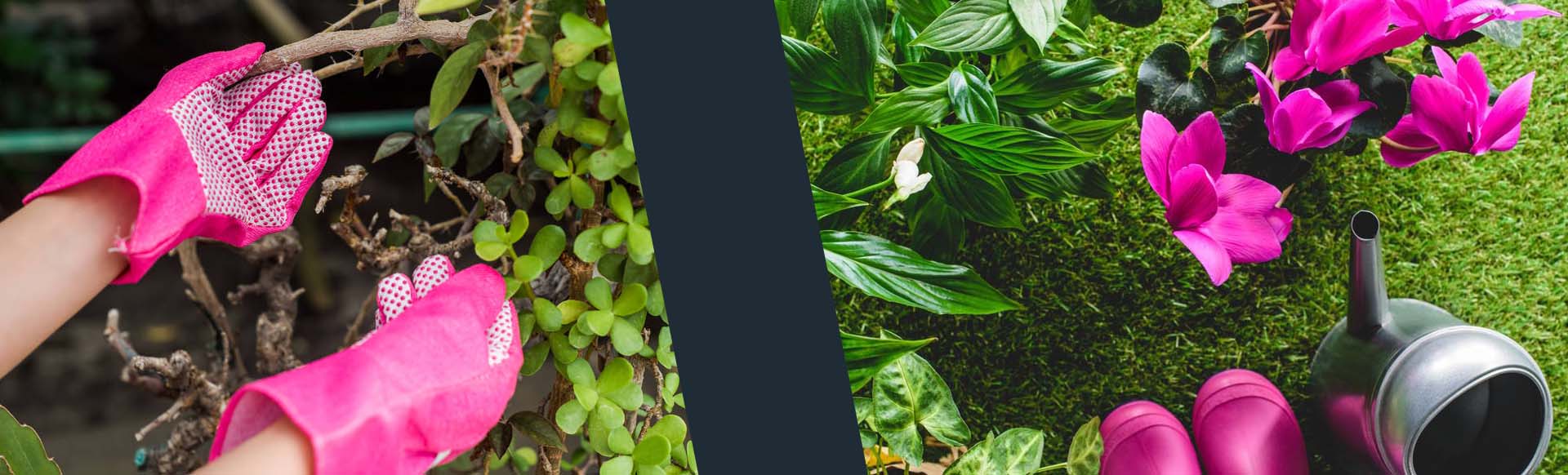 Высокая всхожесть